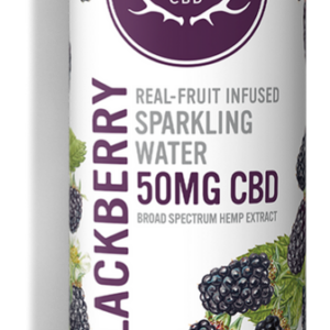 WYLD CBD - Blackberry Sparkling Water - 50mg